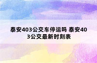 泰安403公交车停运吗 泰安403公交最新时刻表